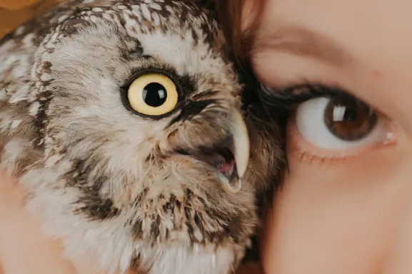 بلاي هاب كازينو الدعم